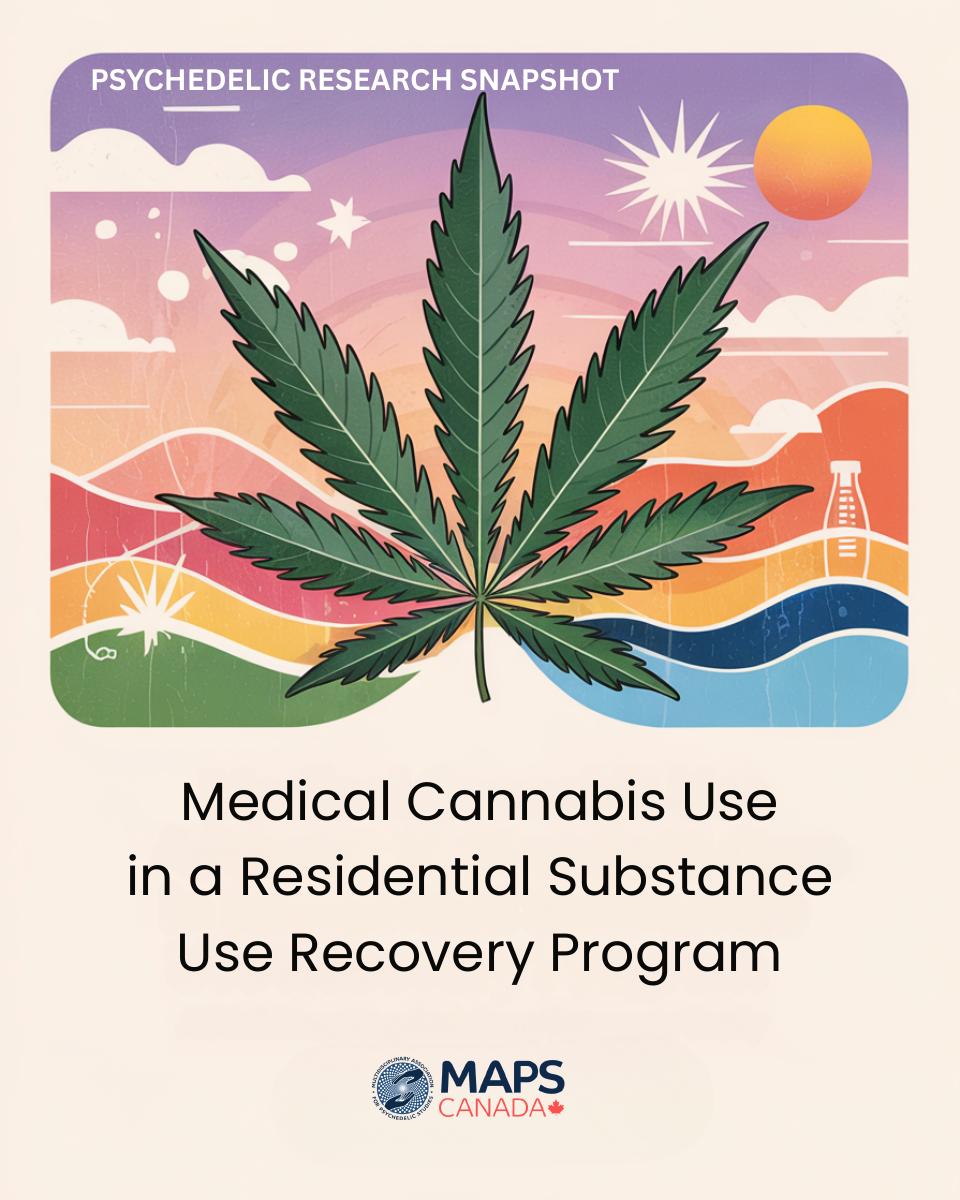 Cover of Medical Cannabis Use in a Residential Substance Use Recovery Program